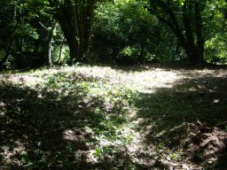 15 proprete zone en fin de travaux